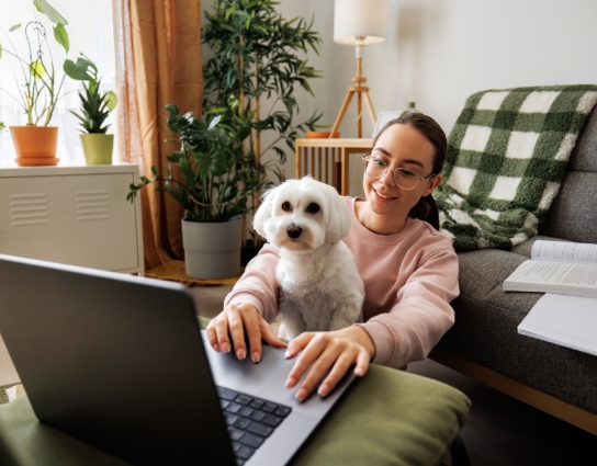 An owner at a laptop with their dog on their lap